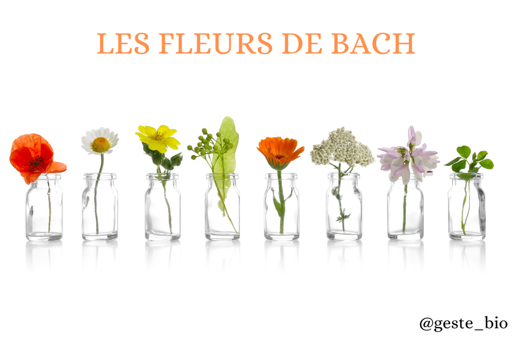 Blog les fleurs de bach
