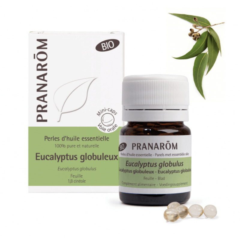 Eucalyptus Globuleux Feuille - Perles d'Huiles Essentielles - Bio - Pranarom