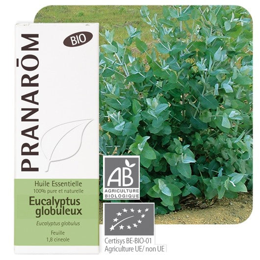 Huile Essentielle de Eucalyptus Globulus Bio Pranarom