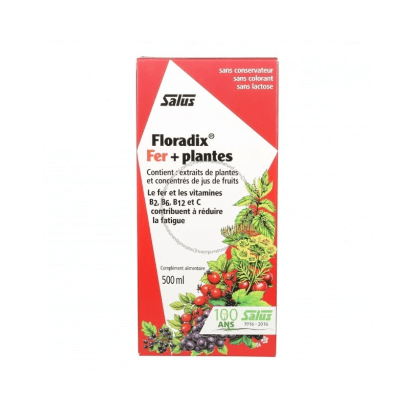 Floradix Salus fer plantes anémie b2 b6 b12 c réduire la fatigue